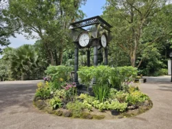 Singapore Botanic Gardens Svg+xml,%3Csvg%20xmlns%3D%22http%3A%2F%2Fwww.w3