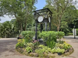 Singapore Botanic Gardens Svg+xml,%3Csvg%20xmlns%3D%22http%3A%2F%2Fwww.w3