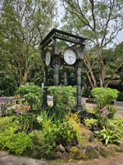 Singapore Botanic Gardens Svg+xml,%3Csvg%20xmlns%3D%22http%3A%2F%2Fwww.w3