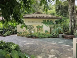 Singapore Botanic Gardens Svg+xml,%3Csvg%20xmlns%3D%22http%3A%2F%2Fwww.w3