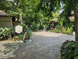 Singapore Botanic Gardens Svg+xml,%3Csvg%20xmlns%3D%22http%3A%2F%2Fwww.w3