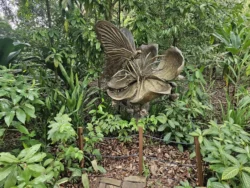 Singapore Botanic Gardens Svg+xml,%3Csvg%20xmlns%3D%22http%3A%2F%2Fwww.w3