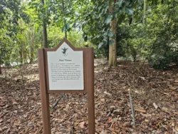 Singapore Botanic Gardens Svg+xml,%3Csvg%20xmlns%3D%22http%3A%2F%2Fwww.w3