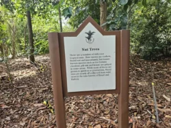 Singapore Botanic Gardens Svg+xml,%3Csvg%20xmlns%3D%22http%3A%2F%2Fwww.w3