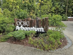 Singapore Botanic Gardens Svg+xml,%3Csvg%20xmlns%3D%22http%3A%2F%2Fwww.w3