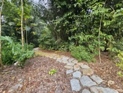 Singapore Botanic Gardens Svg+xml,%3Csvg%20xmlns%3D%22http%3A%2F%2Fwww.w3