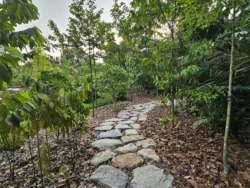 Singapore Botanic Gardens Svg+xml,%3Csvg%20xmlns%3D%22http%3A%2F%2Fwww.w3