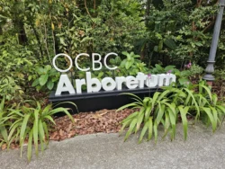 Singapore Botanic Gardens Svg+xml,%3Csvg%20xmlns%3D%22http%3A%2F%2Fwww.w3