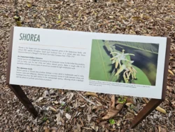 Singapore Botanic Gardens Svg+xml,%3Csvg%20xmlns%3D%22http%3A%2F%2Fwww.w3