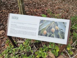 Singapore Botanic Gardens Svg+xml,%3Csvg%20xmlns%3D%22http%3A%2F%2Fwww.w3