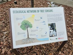 Singapore Botanic Gardens Svg+xml,%3Csvg%20xmlns%3D%22http%3A%2F%2Fwww.w3