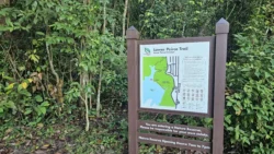 Lower Peirce Reservoir Svg+xml,%3Csvg%20xmlns%3D%22http%3A%2F%2Fwww.w3