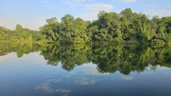 Lower Peirce Reservoir Svg+xml,%3Csvg%20xmlns%3D%22http%3A%2F%2Fwww.w3