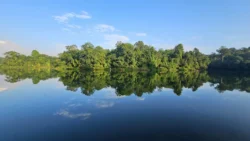 Lower Peirce Reservoir Svg+xml,%3Csvg%20xmlns%3D%22http%3A%2F%2Fwww.w3