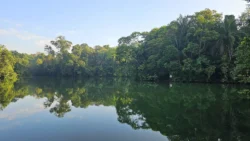 Lower Peirce Reservoir Svg+xml,%3Csvg%20xmlns%3D%22http%3A%2F%2Fwww.w3