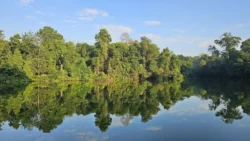 Lower Peirce Reservoir Svg+xml,%3Csvg%20xmlns%3D%22http%3A%2F%2Fwww.w3