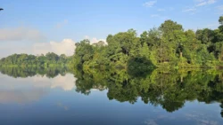 Lower Peirce Reservoir Svg+xml,%3Csvg%20xmlns%3D%22http%3A%2F%2Fwww.w3