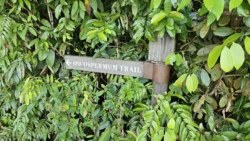 Lower Peirce Reservoir Svg+xml,%3Csvg%20xmlns%3D%22http%3A%2F%2Fwww.w3