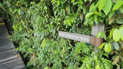 Lower Peirce Reservoir Svg+xml,%3Csvg%20xmlns%3D%22http%3A%2F%2Fwww.w3