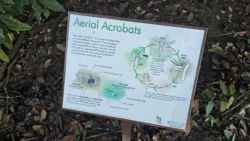 Lower Peirce Reservoir Svg+xml,%3Csvg%20xmlns%3D%22http%3A%2F%2Fwww.w3