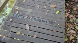 Lower Peirce Reservoir Svg+xml,%3Csvg%20xmlns%3D%22http%3A%2F%2Fwww.w3