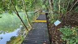 Lower Peirce Reservoir Svg+xml,%3Csvg%20xmlns%3D%22http%3A%2F%2Fwww.w3