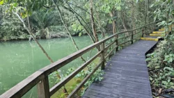 Lower Peirce Reservoir Svg+xml,%3Csvg%20xmlns%3D%22http%3A%2F%2Fwww.w3