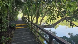 Lower Peirce Reservoir Svg+xml,%3Csvg%20xmlns%3D%22http%3A%2F%2Fwww.w3