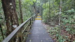 Lower Peirce Reservoir Svg+xml,%3Csvg%20xmlns%3D%22http%3A%2F%2Fwww.w3