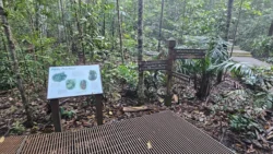 Lower Peirce Reservoir Svg+xml,%3Csvg%20xmlns%3D%22http%3A%2F%2Fwww.w3