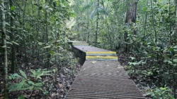 Lower Peirce Reservoir Svg+xml,%3Csvg%20xmlns%3D%22http%3A%2F%2Fwww.w3