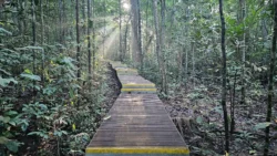 Lower Peirce Reservoir Svg+xml,%3Csvg%20xmlns%3D%22http%3A%2F%2Fwww.w3