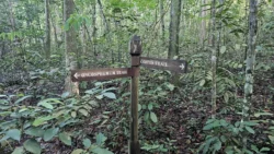 Lower Peirce Reservoir Svg+xml,%3Csvg%20xmlns%3D%22http%3A%2F%2Fwww.w3