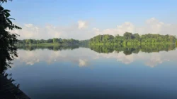 Lower Peirce Reservoir Svg+xml,%3Csvg%20xmlns%3D%22http%3A%2F%2Fwww.w3