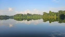 Lower Peirce Reservoir Svg+xml,%3Csvg%20xmlns%3D%22http%3A%2F%2Fwww.w3