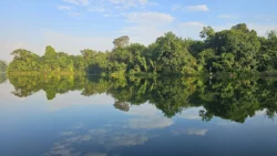 Lower Peirce Reservoir Svg+xml,%3Csvg%20xmlns%3D%22http%3A%2F%2Fwww.w3