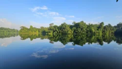 Lower Peirce Reservoir Svg+xml,%3Csvg%20xmlns%3D%22http%3A%2F%2Fwww.w3