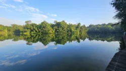 Lower Peirce Reservoir Svg+xml,%3Csvg%20xmlns%3D%22http%3A%2F%2Fwww.w3