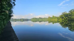 Lower Peirce Reservoir Svg+xml,%3Csvg%20xmlns%3D%22http%3A%2F%2Fwww.w3