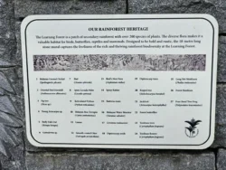 Singapore Botanic Gardens Svg+xml,%3Csvg%20xmlns%3D%22http%3A%2F%2Fwww.w3