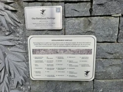 Singapore Botanic Gardens Svg+xml,%3Csvg%20xmlns%3D%22http%3A%2F%2Fwww.w3