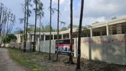 Coney Island Svg+xml,%3Csvg%20xmlns%3D%22http%3A%2F%2Fwww.w3