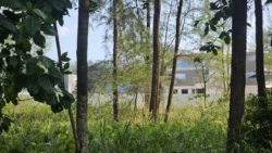 Coney Island Svg+xml,%3Csvg%20xmlns%3D%22http%3A%2F%2Fwww.w3