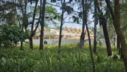 Coney Island Svg+xml,%3Csvg%20xmlns%3D%22http%3A%2F%2Fwww.w3