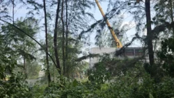 Coney Island Svg+xml,%3Csvg%20xmlns%3D%22http%3A%2F%2Fwww.w3