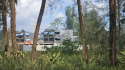 Coney Island Svg+xml,%3Csvg%20xmlns%3D%22http%3A%2F%2Fwww.w3