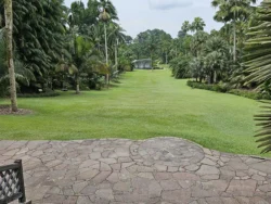 Singapore Botanic Gardens Svg+xml,%3Csvg%20xmlns%3D%22http%3A%2F%2Fwww.w3