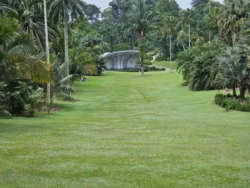 Singapore Botanic Gardens Svg+xml,%3Csvg%20xmlns%3D%22http%3A%2F%2Fwww.w3