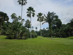 Singapore Botanic Gardens Svg+xml,%3Csvg%20xmlns%3D%22http%3A%2F%2Fwww.w3