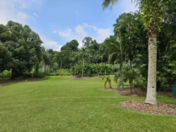 Singapore Botanic Gardens Svg+xml,%3Csvg%20xmlns%3D%22http%3A%2F%2Fwww.w3